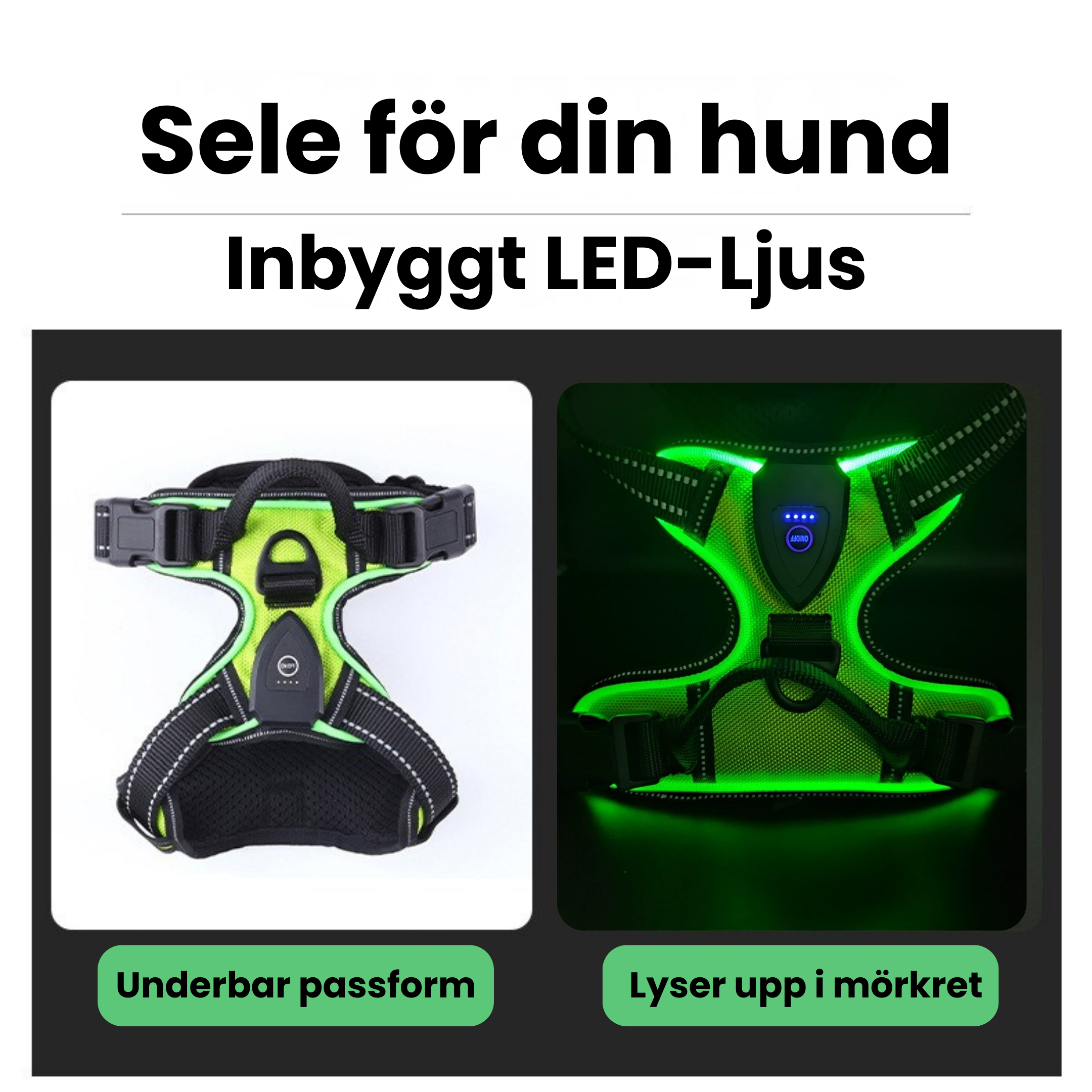 GlowDog™ - Gör mörka promenader tryggare för er båda!